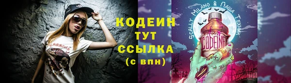 прущие грибы Алексеевка