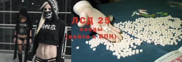 прущие грибы Алексеевка