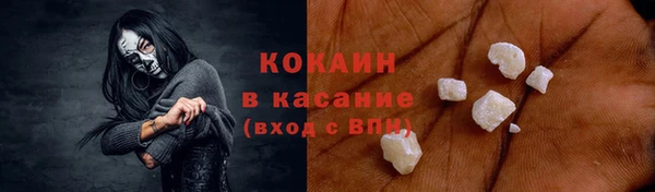 прущие грибы Алексеевка